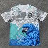 maillot-bresil-concept-bleublanc-20242025 KOSZULKA BRAZYLIA CONCEPT NIEBIESKO-BIAŁA 20242025