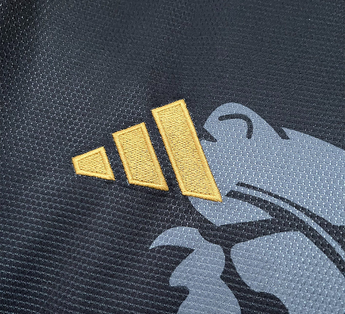 Maillot Concept Aston Villa Edition Dragon 2425