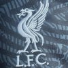 Koszulka Liverpool Bramkarska 2425
