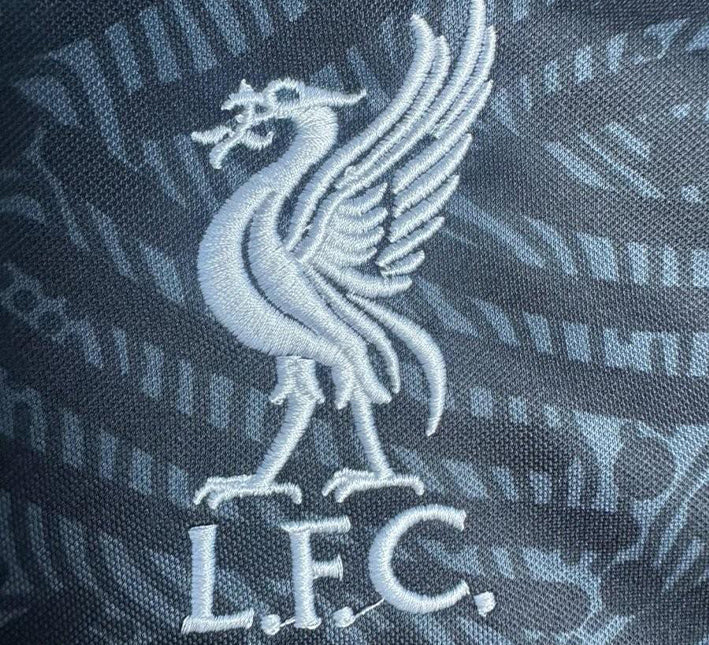 Koszulka Liverpool Bramkarska 2425