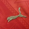 vetement-sportif-maroc-domicile-2425 odzież sportowa Maroko domowa 2425