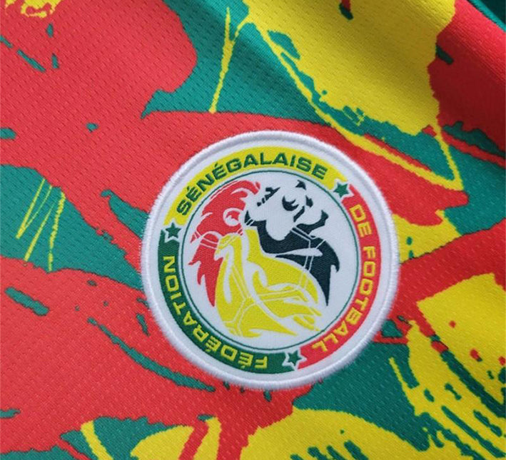 Koszulka Senegal Przedmeczowa 2024 widok z profilu