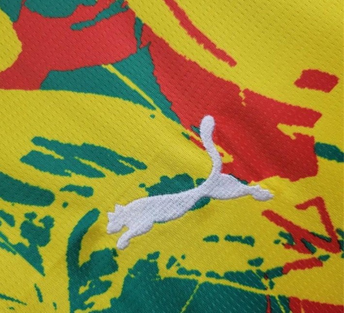 Koszulka Senegal Przedmeczowa 2024 widok z tyłu