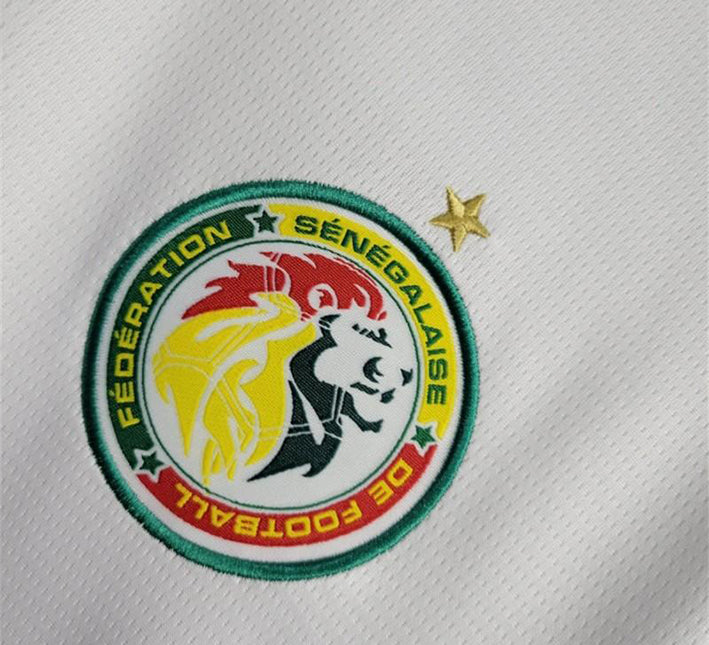 Koszulka Senegal Domowa 2024 widok z profilu