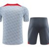 Zestaw Treningowy Liverpool Szary 2023-2024