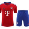 KIT TRAINING BAYERN MUNICH ROUGEBLEU 20232024