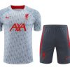 Zestaw Treningowy Liverpool Szary 2023-2024