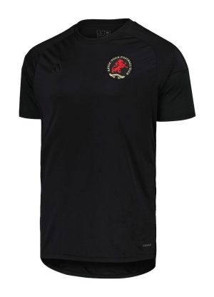 KOSZULKA ASTON VILLA ROCZNICOWA 2024/2025