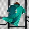 Koszulka Domowa Irlandia Północna 2026