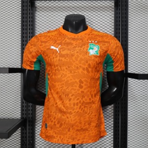 Koszulka Wybrzeże Kości Słoniowej 2025/26 Player