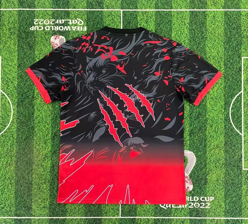 Koszulka Brazylia 2025/26 Special Red