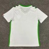 Koszulka AS Saint-Étienne Wyjazdowa 2024-2025