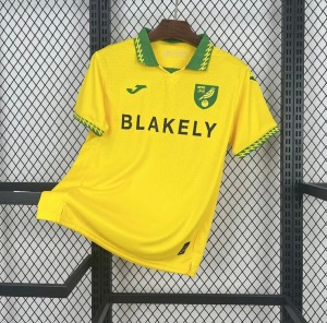 CB47C772-BEDE-4B04-AC11-851226EE6815.jpg Koszulka Norwich City Domowa 2025/26