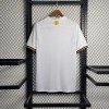 Koszulka AIK Solna 2023/24 Koncept