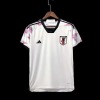 Koszulka Japonia 2022/23 Mundial