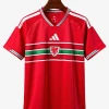 Koszulka Domowa Walia 2026